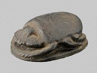 Aeg S 46  Aeg S 46, Neues Reich bis Spätzeit, Skarabäus, Diorit, L 5,3 cm, B 3,8 cm, H 2,4 cm : Bestandskatalog Ägypten, Museumsfoto: Claus Cordes